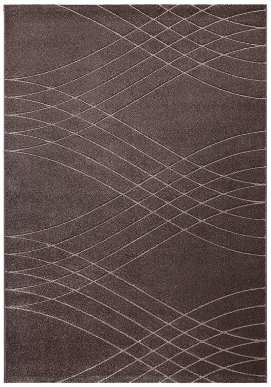 Tapis de salon moderne tissé plat BROWNIE